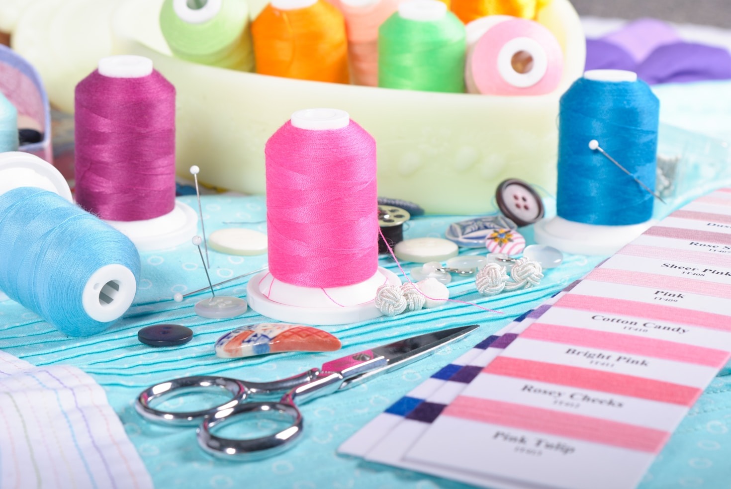 Upcoming Workshops For Every Skill Level